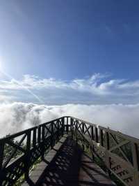 【北海道】絶景の雲海☁️死ぬまでに見たい絶景