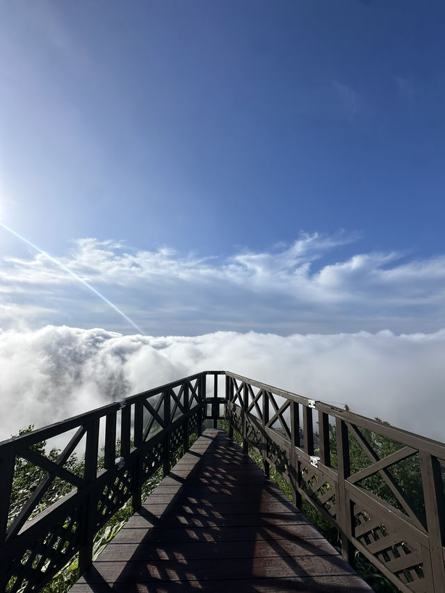 【北海道】絶景の雲海☁️死ぬまでに見たい絶景
