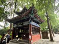 🕊️ Find Peace at Wenshu Monastery (文殊院), Chengdu’s Spiritual Heart