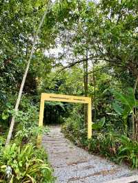 Free & Serene: Why Locals Love Taman Tugu’s Trails