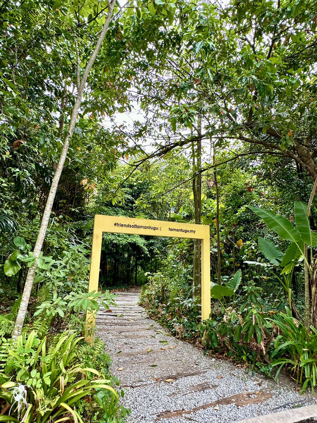 Free & Serene: Why Locals Love Taman Tugu’s Trails