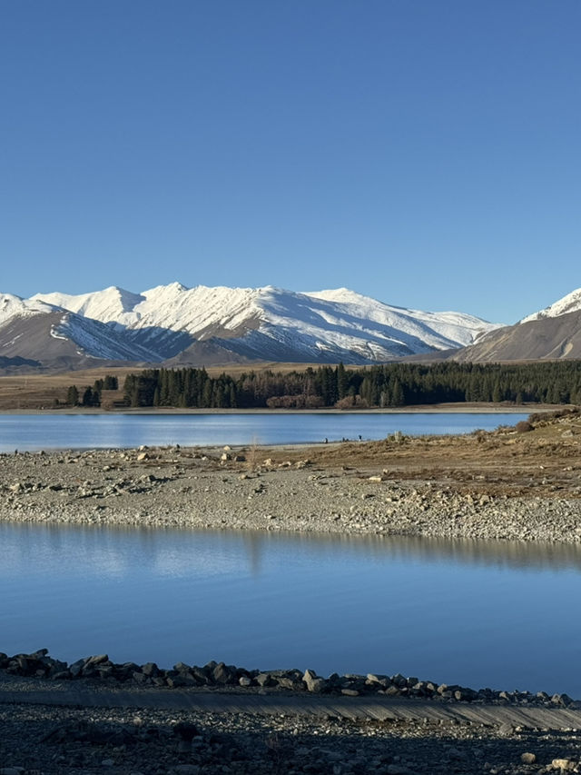 Tekapo - Lake, Dog statue & Church 