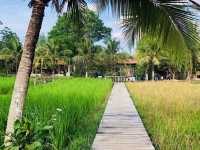 'Old Phuket Farm'의 태국 전통 방식