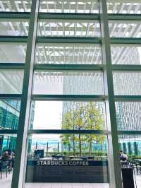 🚅 Nagoya Day Trip Under RM100 – Castles, Culture & Chicken Wings!