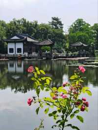 A Vision of Serenity 
