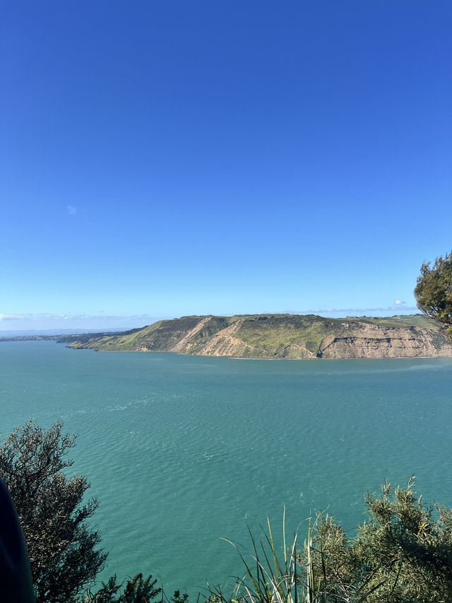 NZの休日🗻絶景スポット発見👀