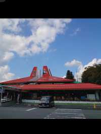 🦁秋吉台サファリランド｜動物たちと超接近！ドキドキのサファリ体験