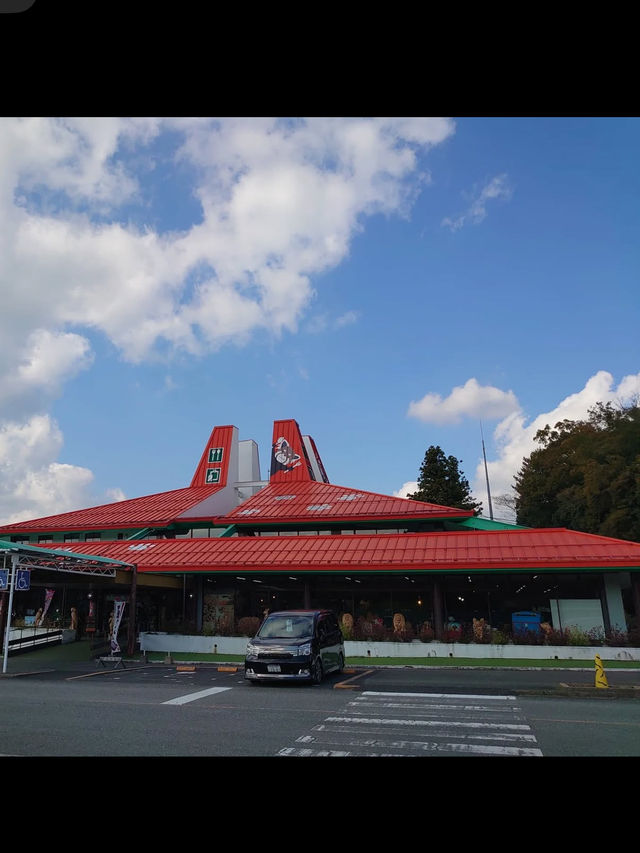 🦁秋吉台サファリランド｜動物たちと超接近！ドキドキのサファリ体験