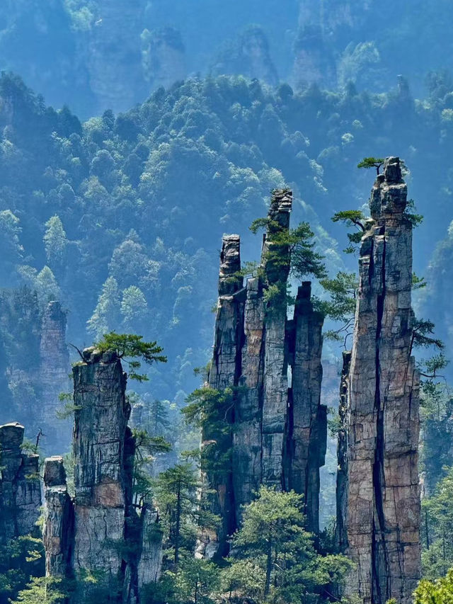 🏞️ Zhangjiajie – Real-Life Avatar Mountains for RM170/day