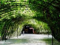 🌸🇯🇵 Hinoki Land เชียงใหม่ 🌸🇯🇵