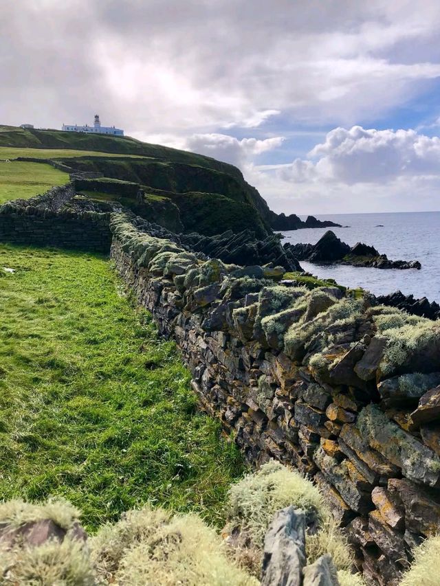 Clifftop Views and Puffin Spotting at Sumburgh Head