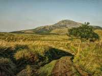 Wandering Through the Steamy Trails of Huangzuishan Ecological Conservation Area