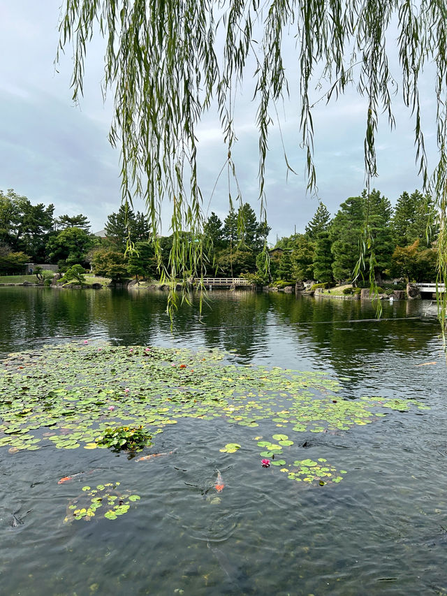 🇯🇵日本✈️名古屋池泉式庭園德川園