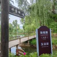 🌿 Yintan Wetland Park — Nature’s Calm by the Sea