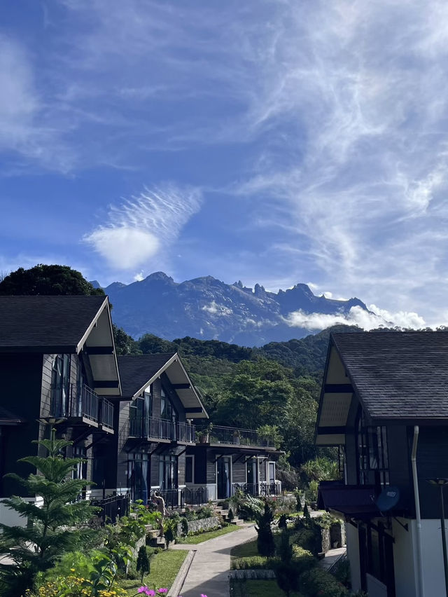 ⛰️ Chillin’ in Kundasang – Views, Cows & Cool Vibes! 🐮🌤️ ⛰️ Chillin’ in Kundasang – Views, Cows & Cool Vibes! 🐮🌤️