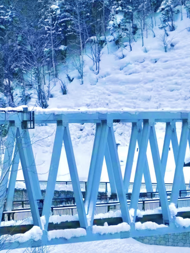겨울 삿포로, 흰수염폭포의 눈 내린 풍경 ❄️🏔️