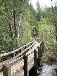 Crawford Lake Conservation Area – Nature and History Intertwined