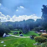 Nature’s Masterpiece at Stone Forest