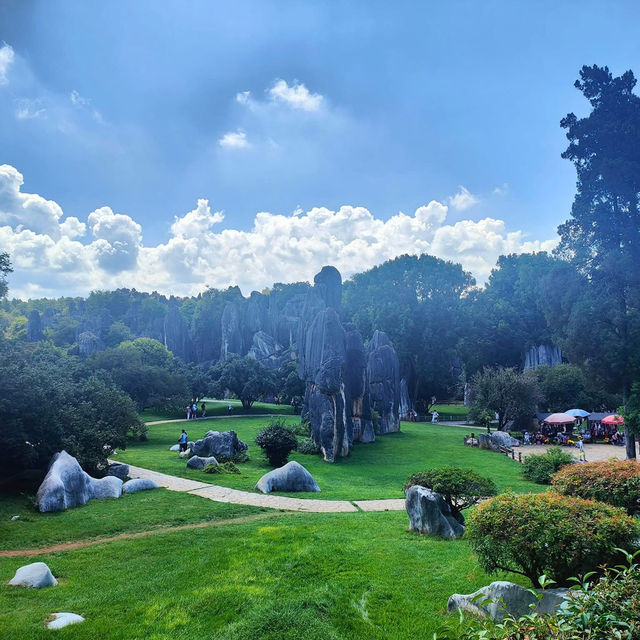 Nature’s Masterpiece at Stone Forest