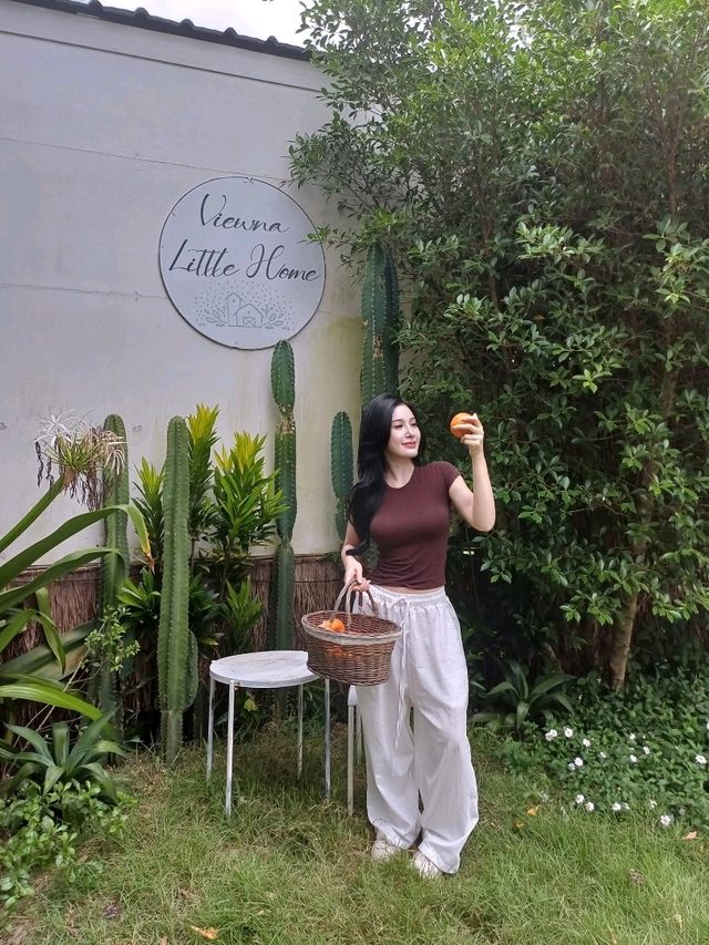 วิวนาคาเฟ่ คาเฟ่ที่ได้ใกล้ชิดธรรมชาติ วิวนาคาเฟ่ คาเฟ่ที่ได้ใกล้ชิดธรรมชาติ