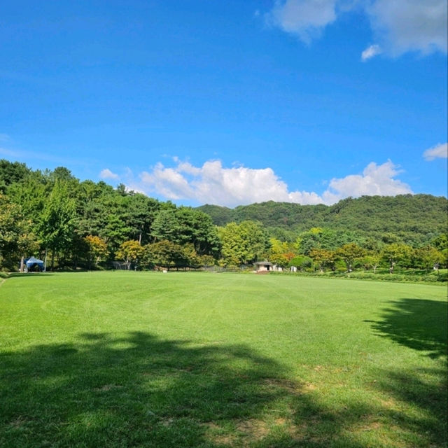 🌳 청남대, 대통령의 별장에서 즐기는 역사와 자연 산책