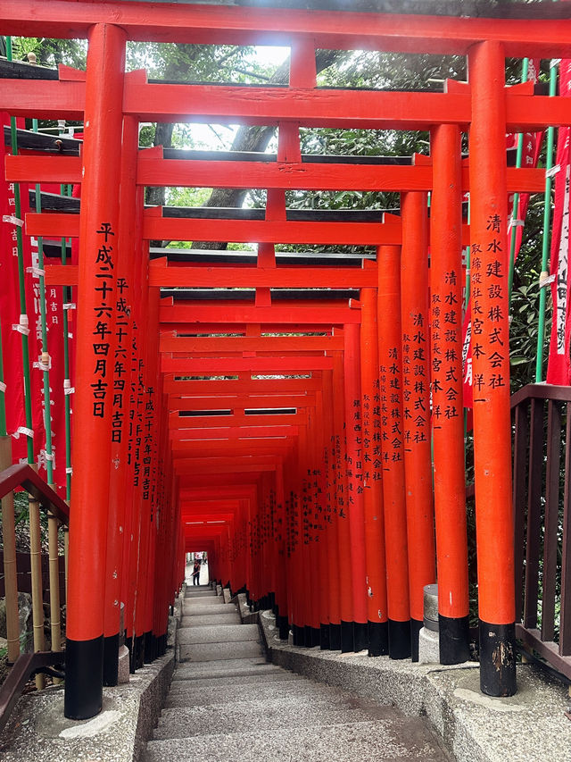 ✈️ 東京6日特種兵旅行｜行程分享＋真實心得