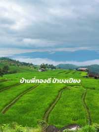 โฮมสเตย์บ้านป่าบงเปียง จังหวัดเชียงใหม่