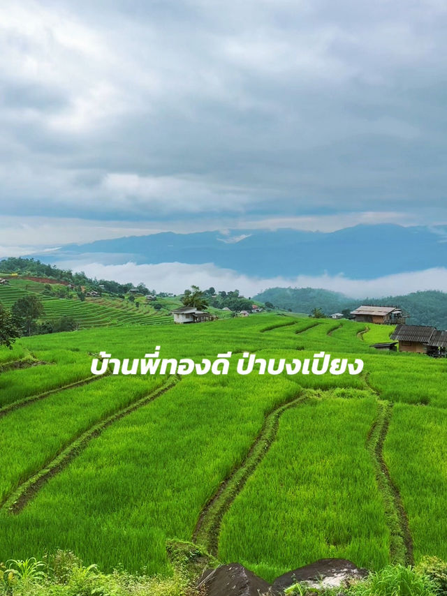 โฮมสเตย์บ้านป่าบงเปียง จังหวัดเชียงใหม่