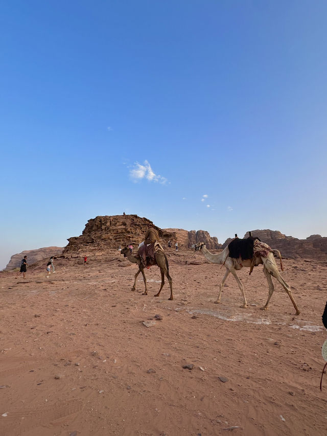 Jeep 4x4 Adventure in Wadi Rum