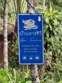 บ้านธารชีวี แม่แมะ พักผ่อนกลางธรรมชาติ เชียงดาว