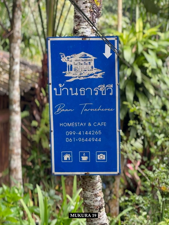 บ้านธารชีวี แม่แมะ พักผ่อนกลางธรรมชาติ เชียงดาว