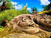 穿越森林與佛陀雕刻──Wat Tham Pha Daen 探索之旅