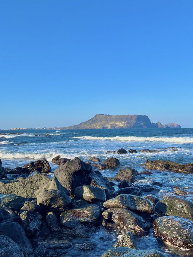 🌊☀️ “제주 바다 감성 여행 – 섭지코지 포함 하루 코스”