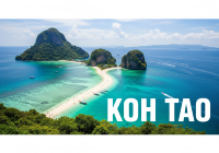 รีวิว เกาะเต่า (Koh Tao): สวรรค์นักดำน้ำ