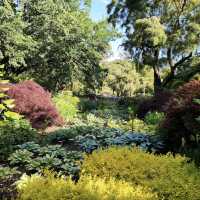 Dunedin Botanic Garden