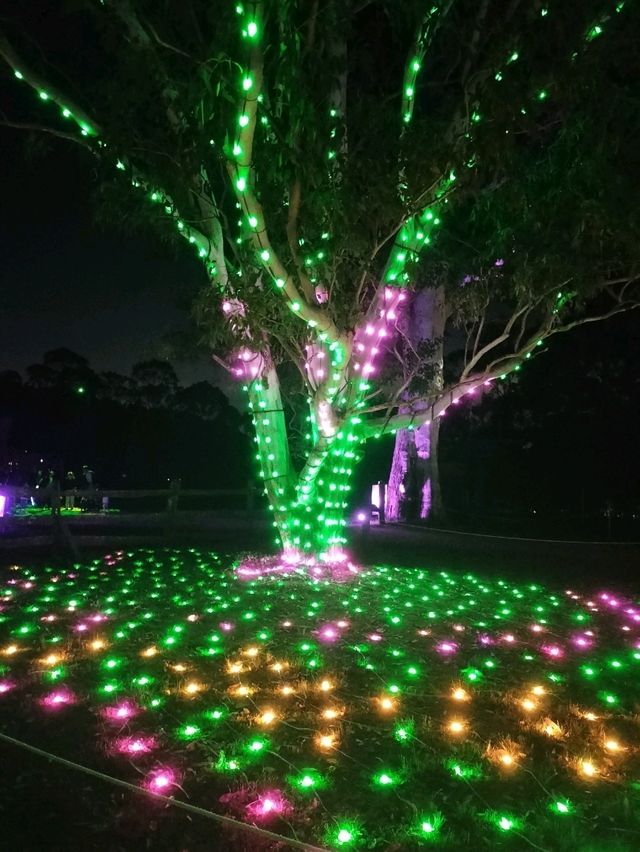 ✨An Enchanted Evening✨