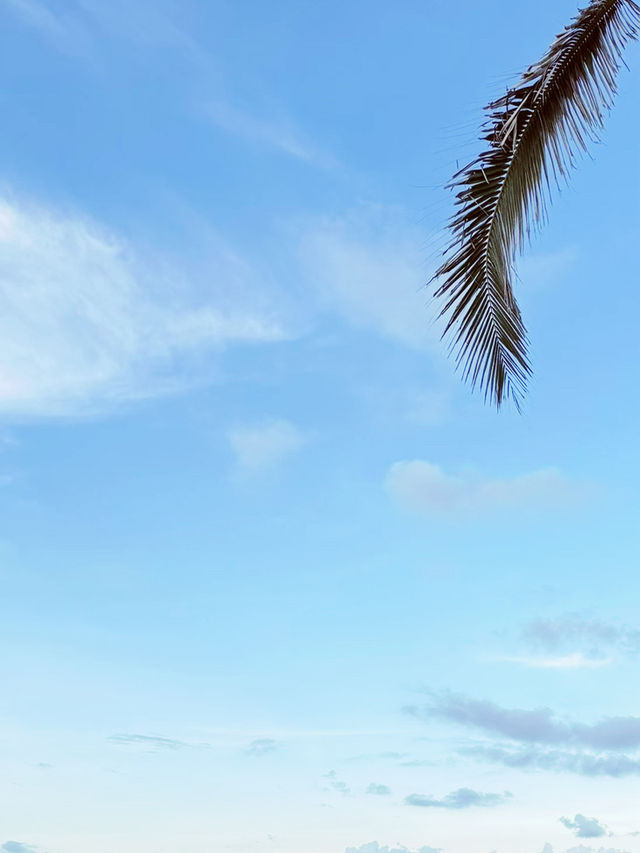 Wanning: Hainan’s Hidden Surf & Sunshine Paradise 🏄♀️🌊 Wanning: Hainan’s Hidden Surf & Sunshine Paradise 🏄♀️🌊