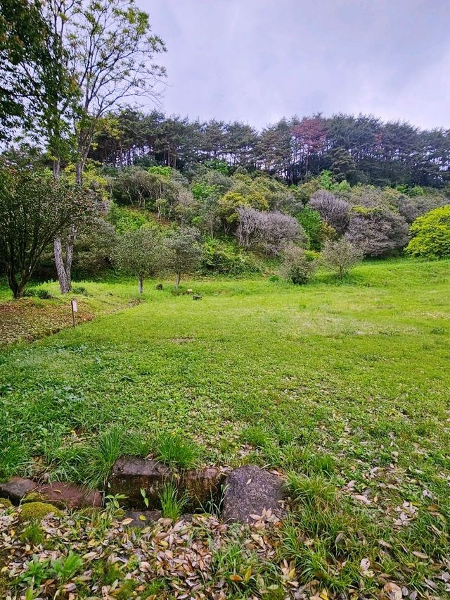🌄 한국 풍수지리의 시초라는 옥룡사지