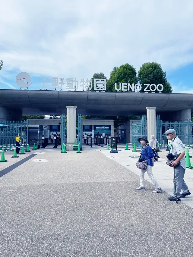 東京上野動物園——與動物相遇的城市綠洲