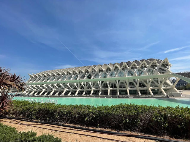 Futuristic Splendor at Ciutat de les Arts i les Ciències