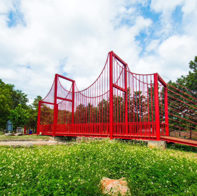  เปิดตัว สวนสาธารณะ The Park Khaoyai Flower Land 