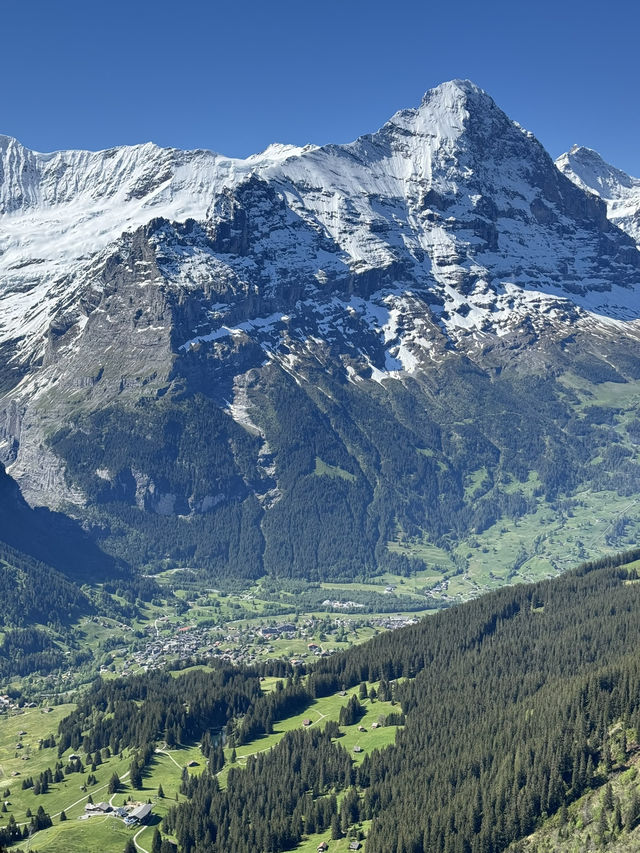 First Cliff Walk - Grindelwald🏔️