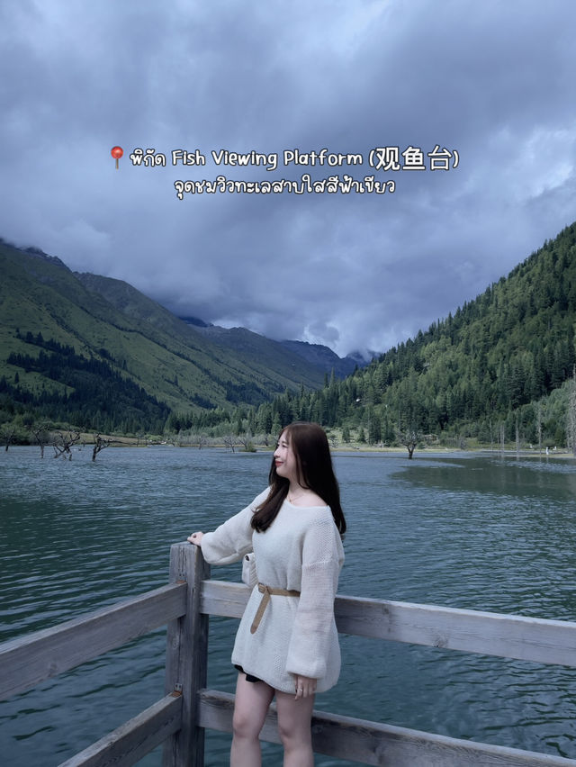 ✈️เที่ยวเฉิงตู | ภูเขาสี่ดรุณี 🇨🇳 🏔️  ✈️เที่ยวเฉิงตู | ภูเขาสี่ดรุณี 🇨🇳 🏔️