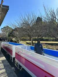 105mの鉄橋から見える壮大な景色 廃線を利用したトロッコ列車
