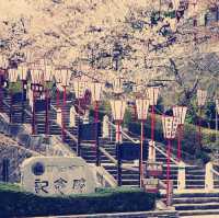 The Misty Phoenix: My Solo Visit to Maruoka Castle, Fukui