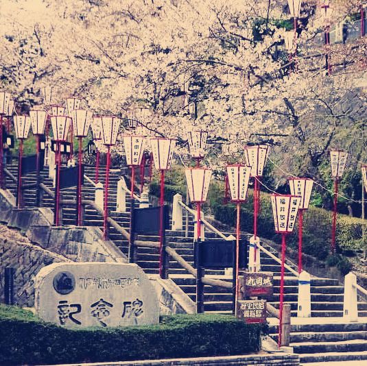 The Misty Phoenix: My Solo Visit to Maruoka Castle, Fukui