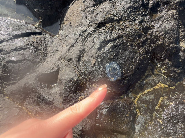 Bundaberg Elliott head beach Bundaberg Elliott head beach