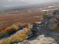 A Bird's-Eye View of the Golden Grassland: A Golden Scroll on the Pamir Plateau
