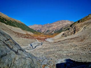 นิการ์ดสบรีน