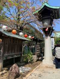 SAKURA JINGU.